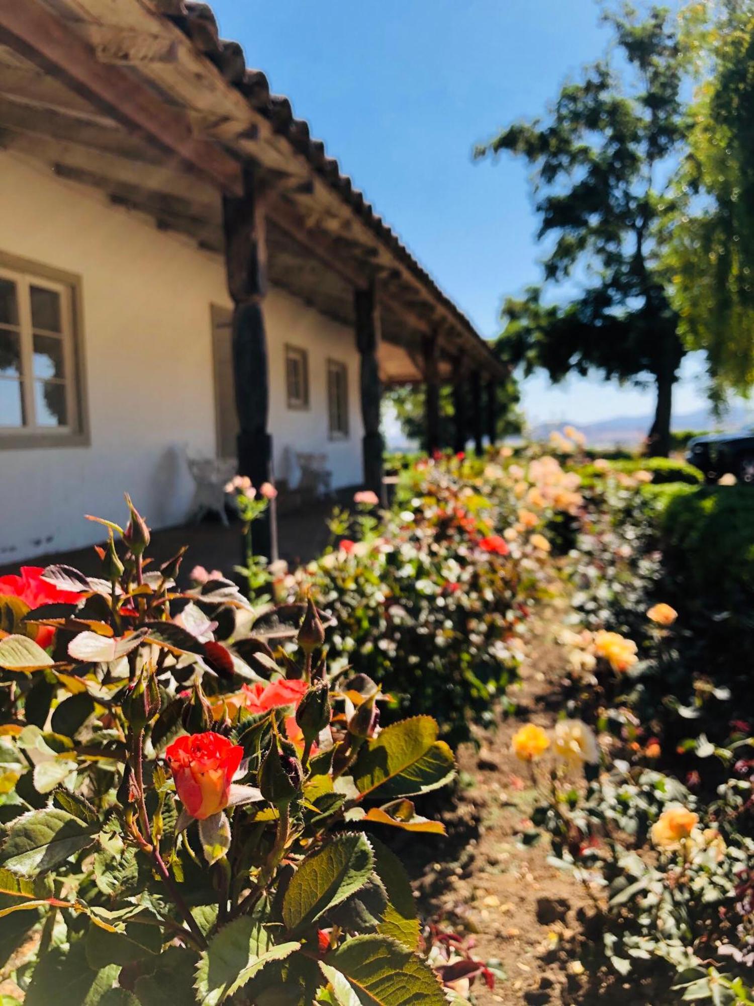Casa Bouchon Hotel Boutique San Javier  Dış mekan fotoğraf